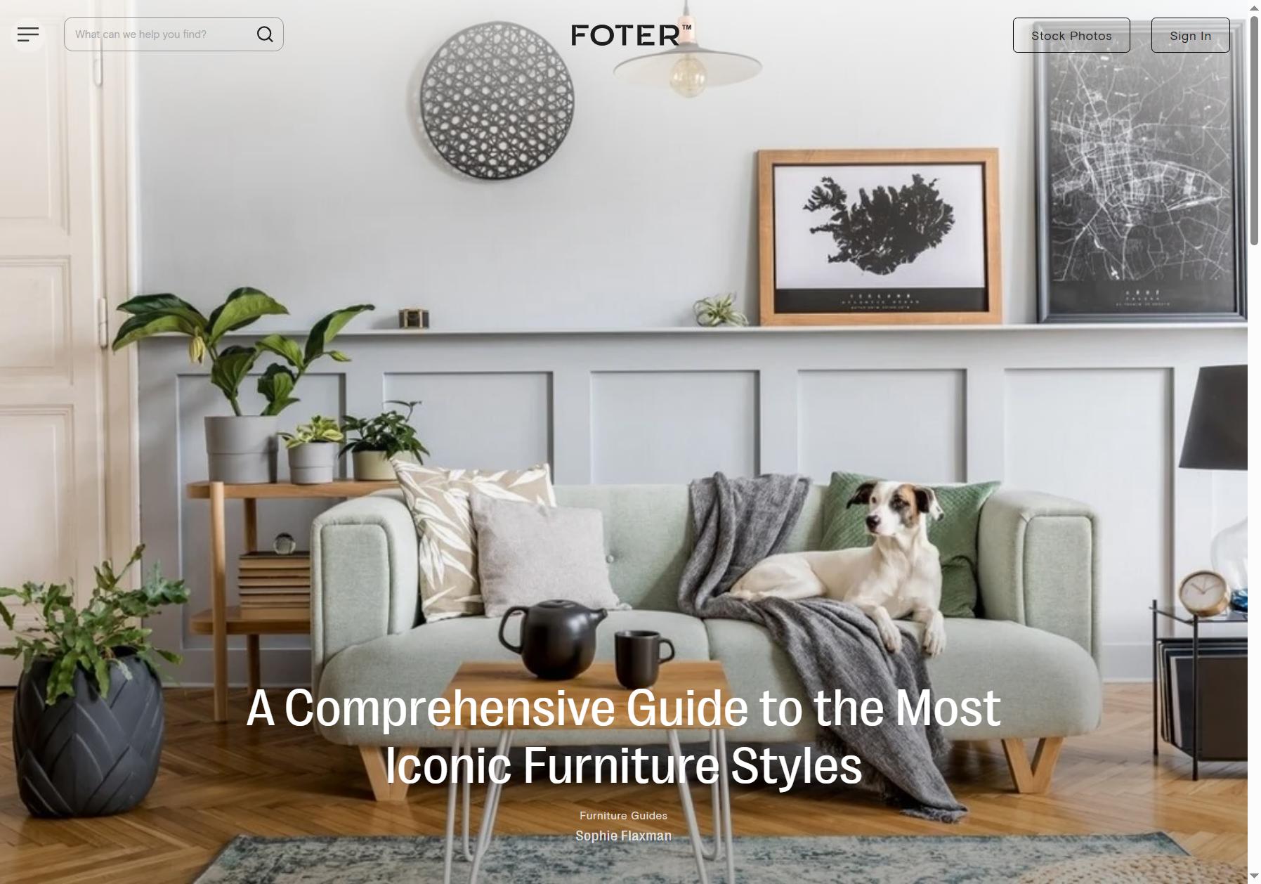 Foter Magazine