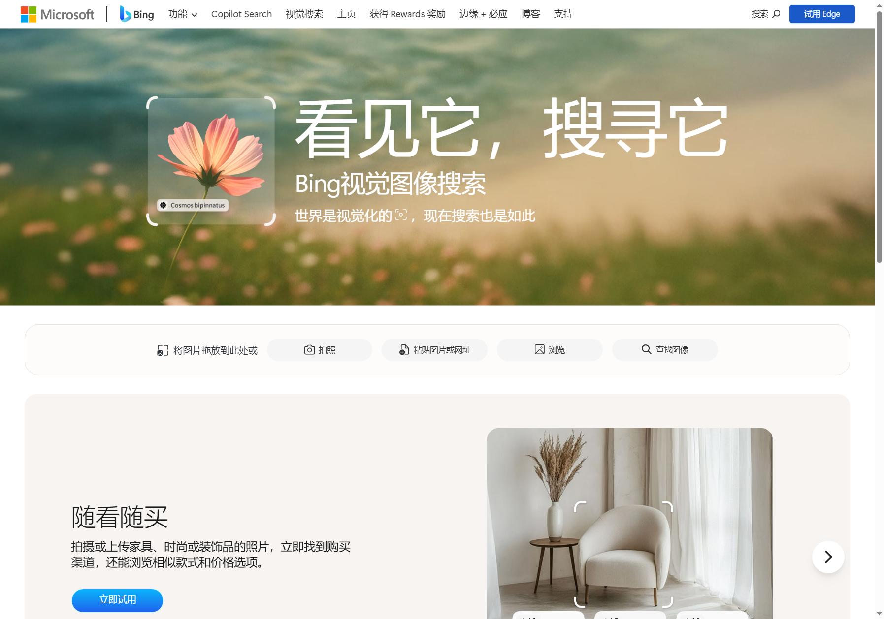 Bing视觉搜索